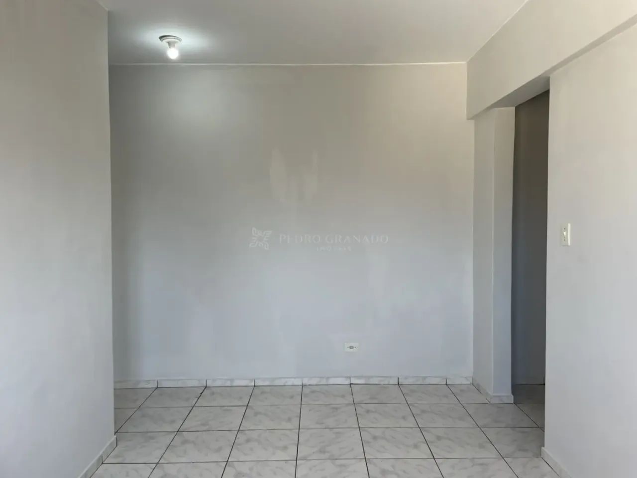 Zulmira Pontes - Foto 3