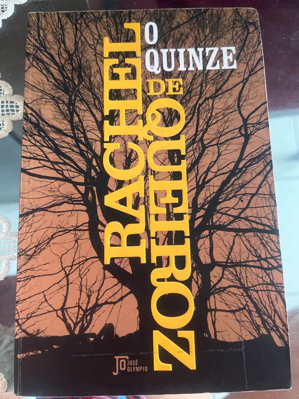 Livro O quinze