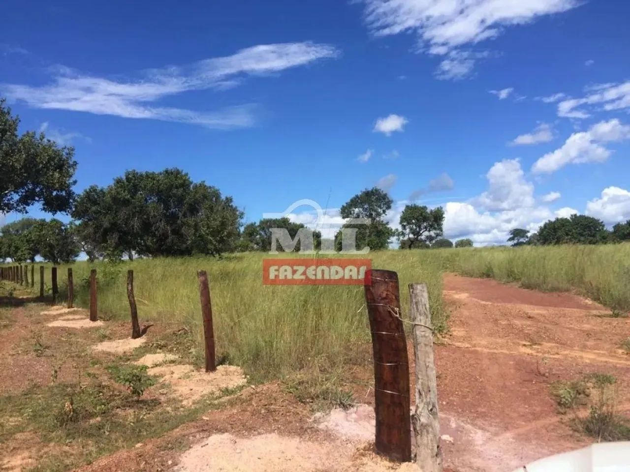 Fazenda 89 Alqueires (430 Hectares) Miracema - TO - Foto 5