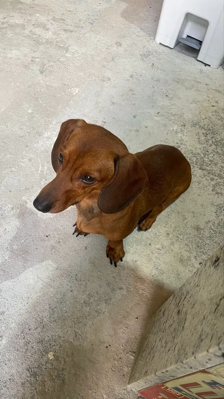 Procuro uma namorada  - Foto 5