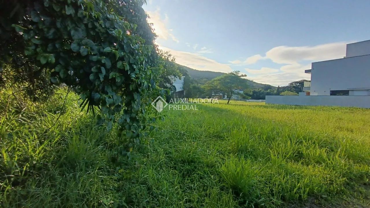 Belissimo terreno com 454m2, pronto para construir. - Foto 2