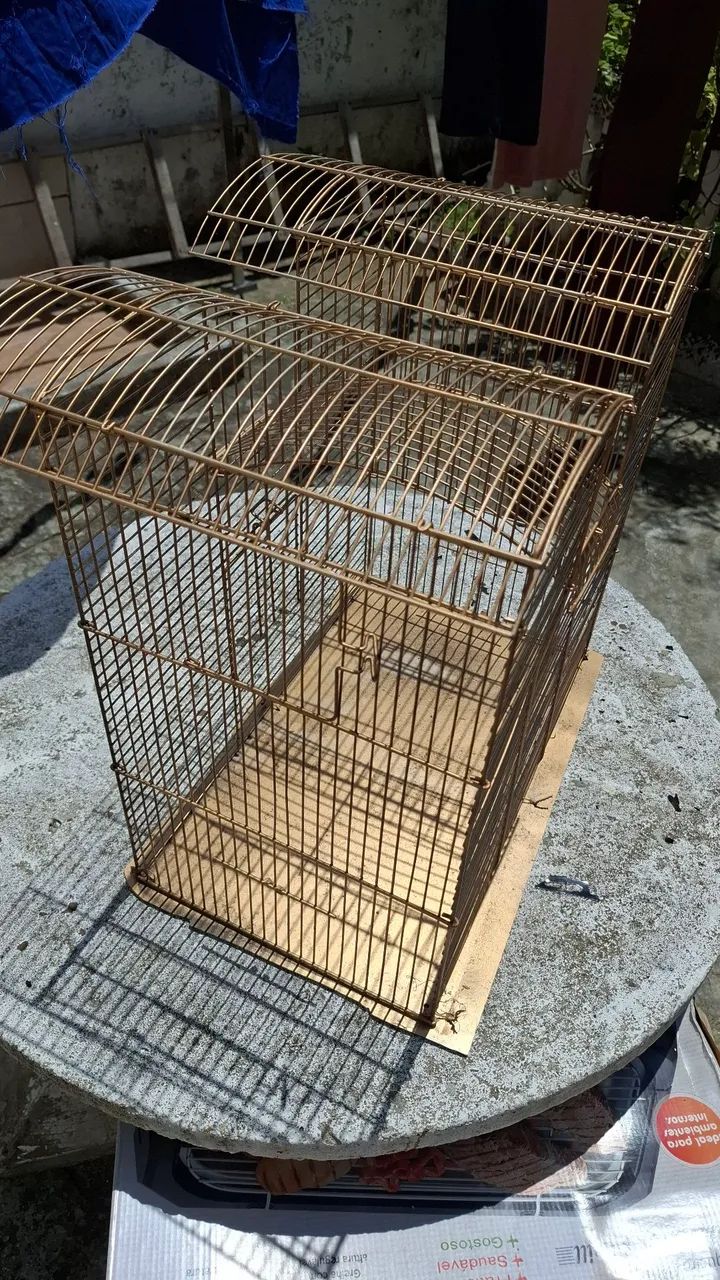 Gaiola média - Foto 2