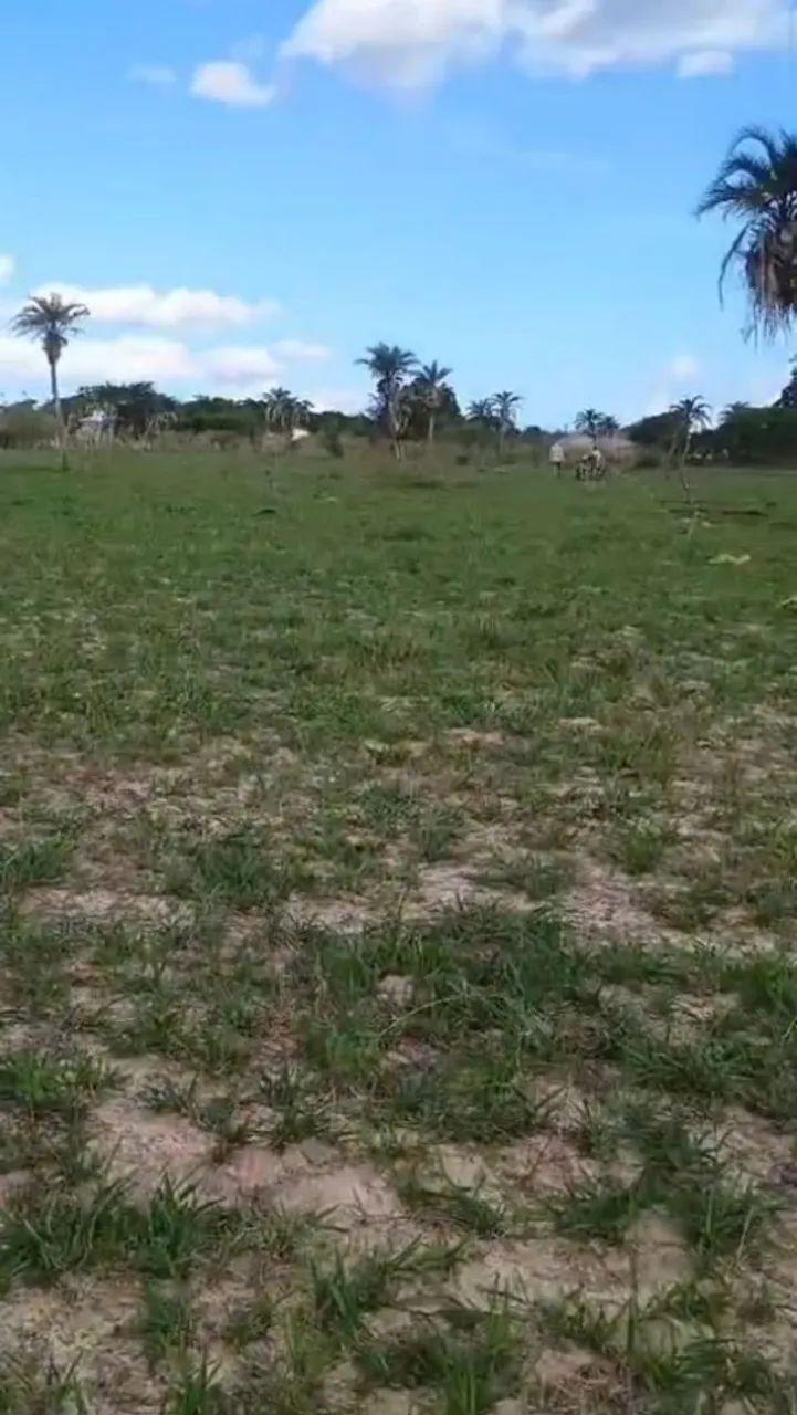 Lotes 500m e Mil metros Garanhuns PERNAMBUCO - Foto 2