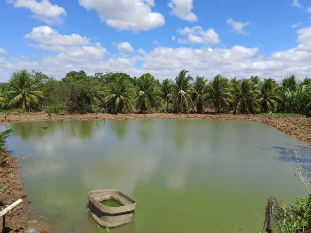 Lindo Sítio Produtivo de 30.000m2 no Centro de Pentecoste - Foto 2