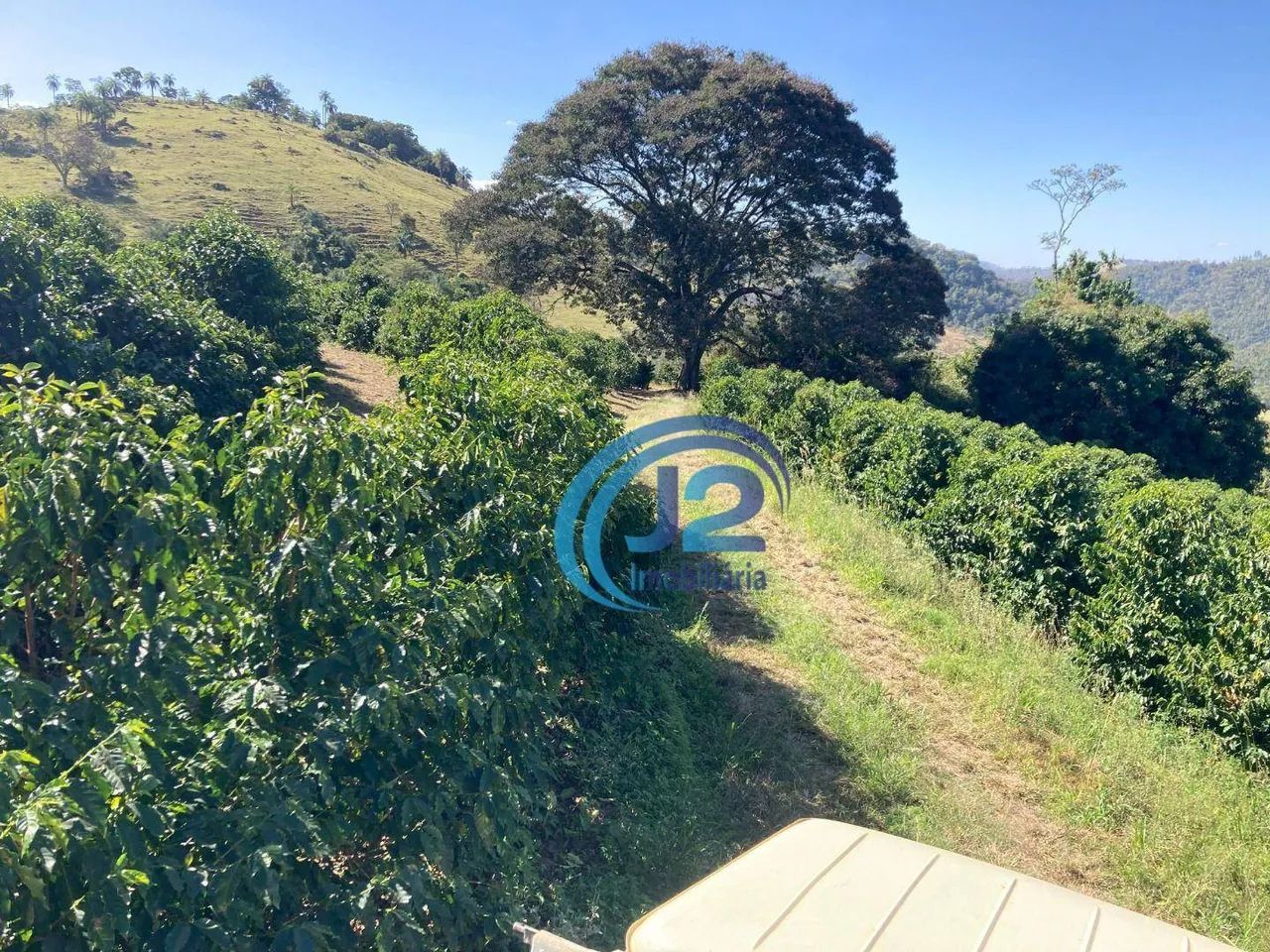 Sítio Espírito Santo do Pinhal/SP - Foto 4