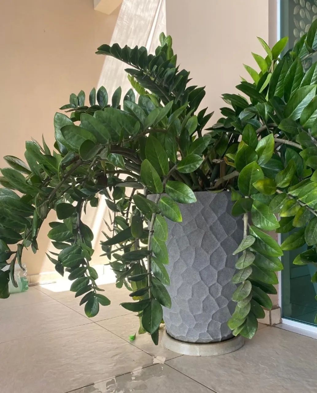 Vende-se planta  - Foto 3