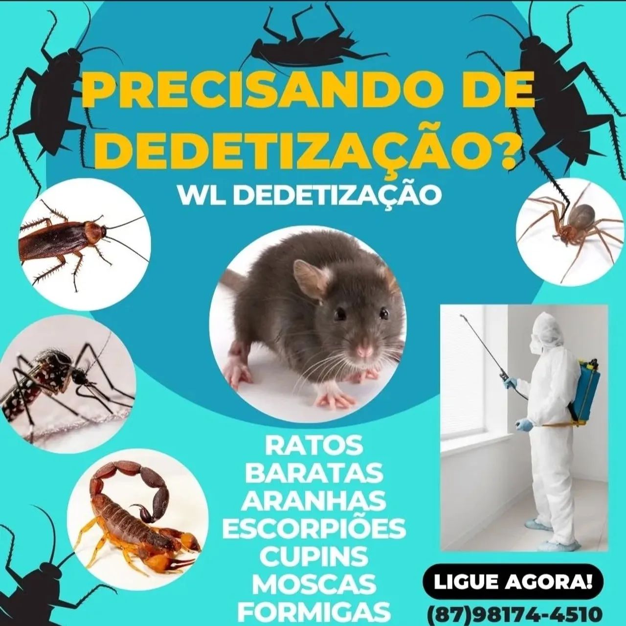SERVIÇO DE DEDETIZAÇAO 