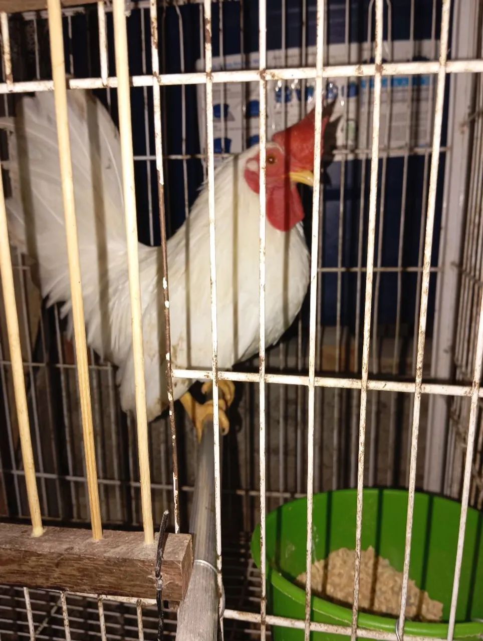 Galizé 