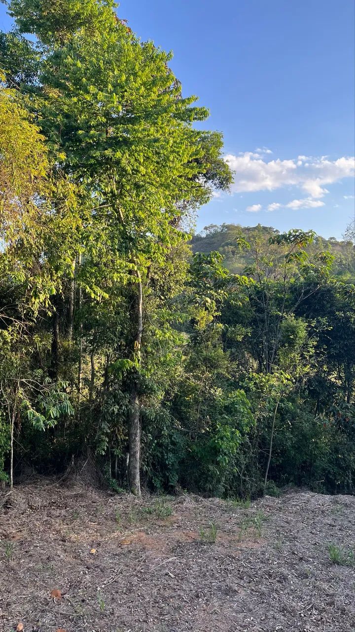 Foto - Juiz de Fora - Linhares