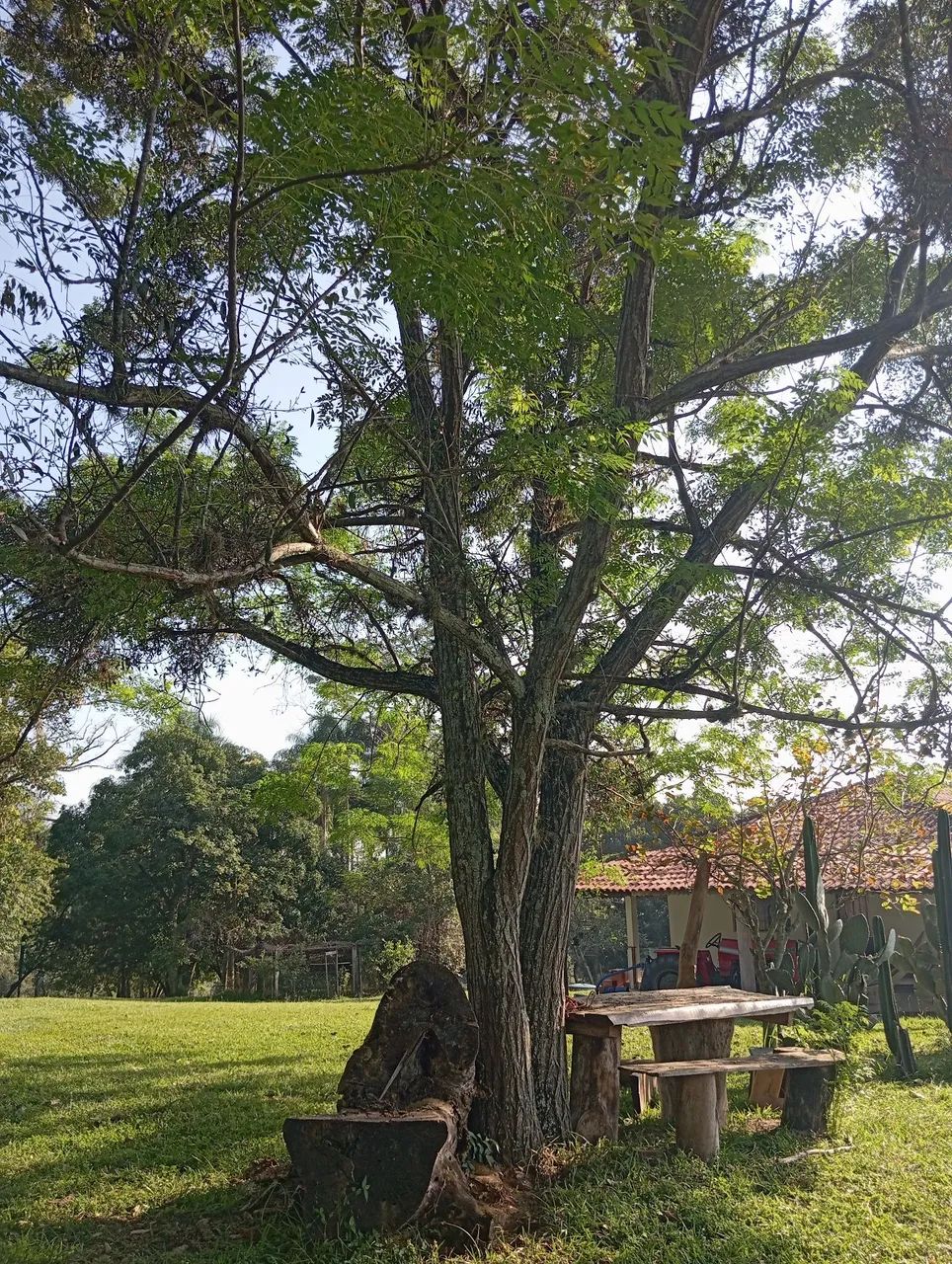 Sítio a venda em Porangaba  - Foto 5