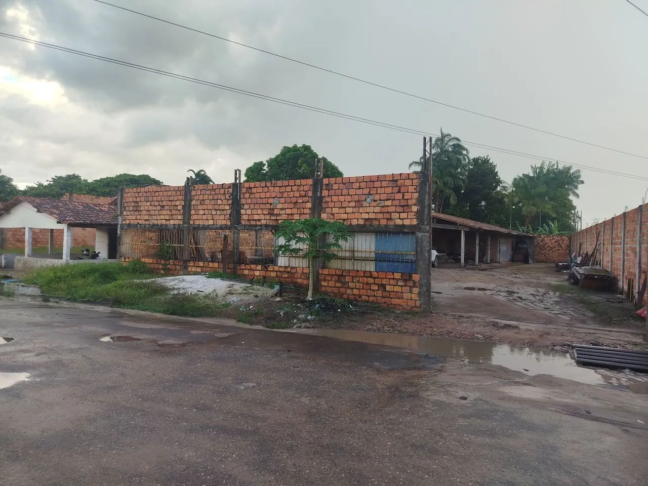 Matos - Foto 4