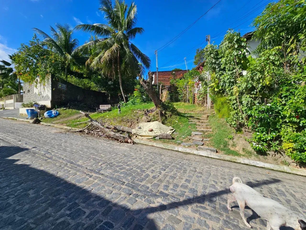 Terreno À Venda Próximo a Praia, Maceió - Oportunidade! - Foto 2