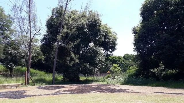 TANGUÁ - RURAL - TANGUÁ - Foto 5