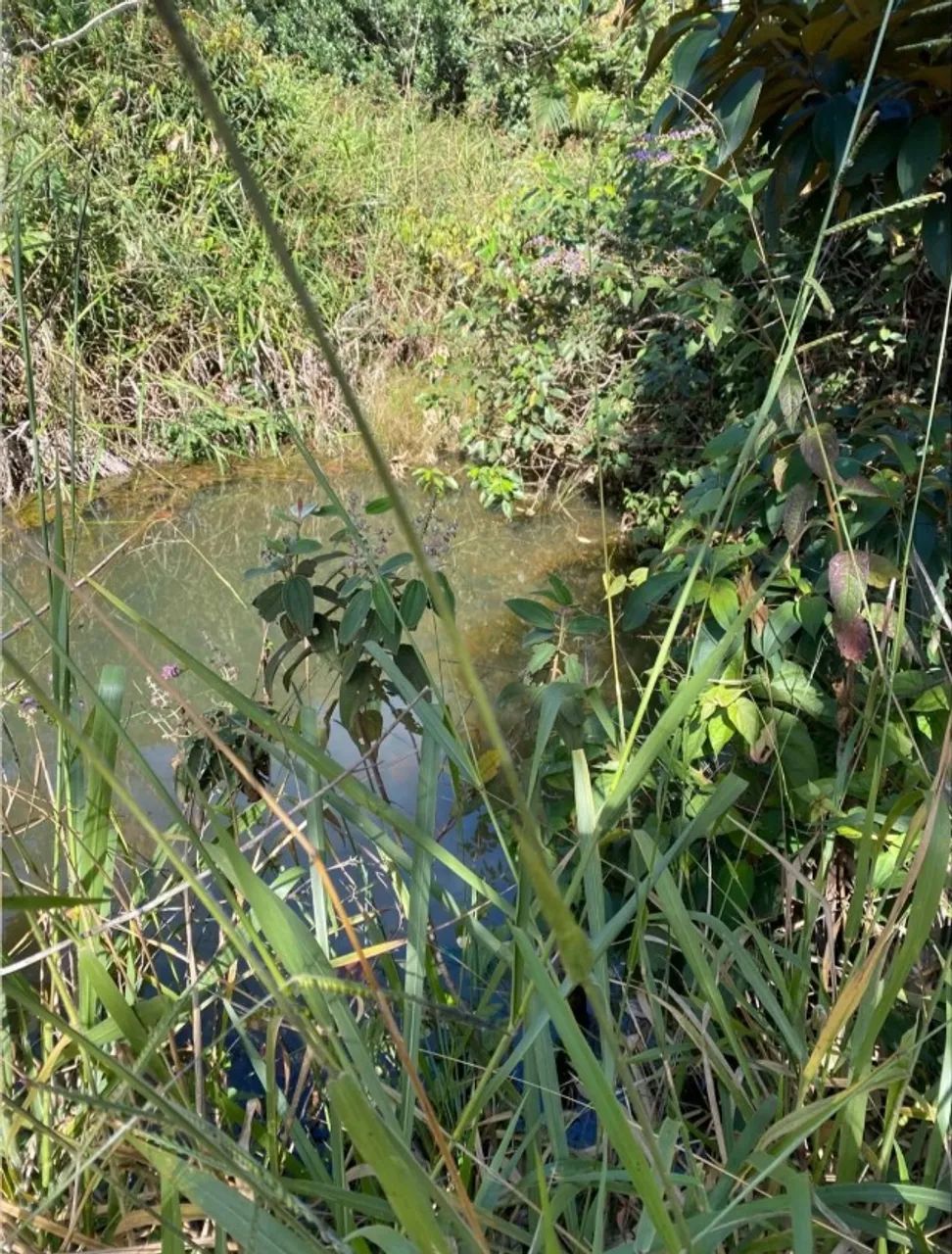 21 mil metros poço de peixe água de nascente  - Foto 3