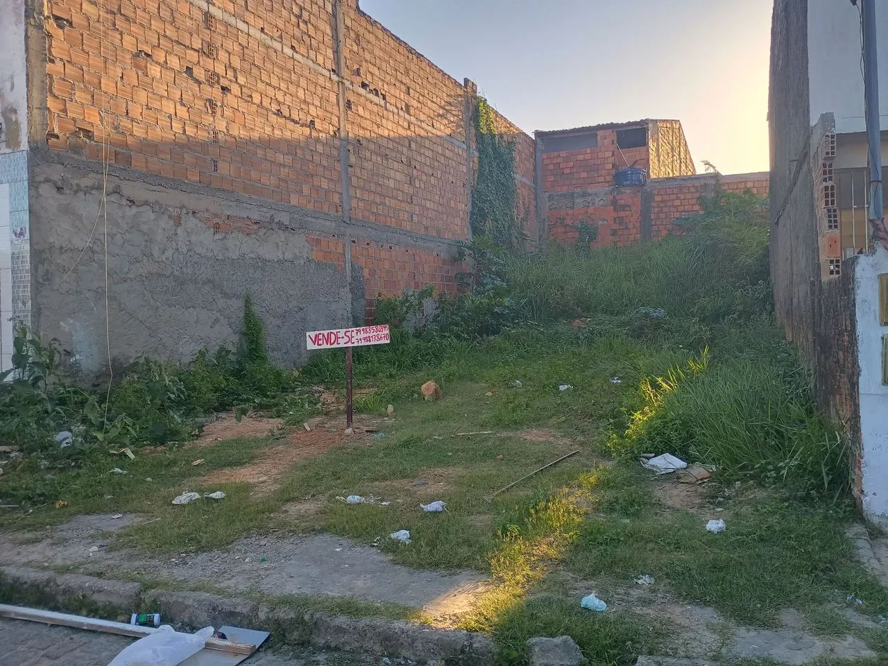 Terreno 8x20 (DOM LUCIANO ) - Foto 2