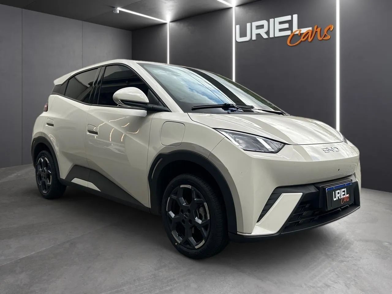 BYD Dolphin GS (Elétrico) 2026 - Foto 2