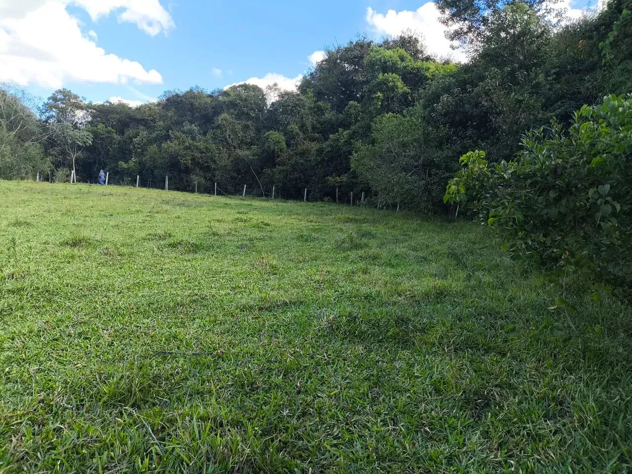 Sítio ,negócio oportunidade - Foto 3