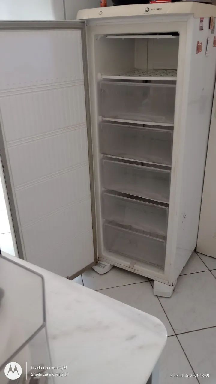 Freezer vertical Electrolux fe 22 super 
