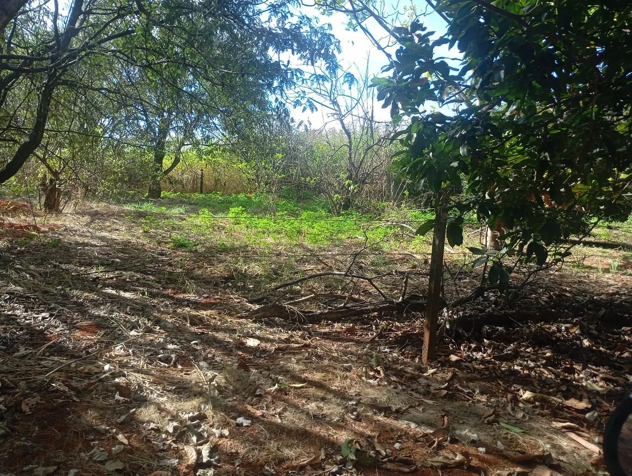 Foto - Brasília - Taguatinga Sul (Taguatinga)