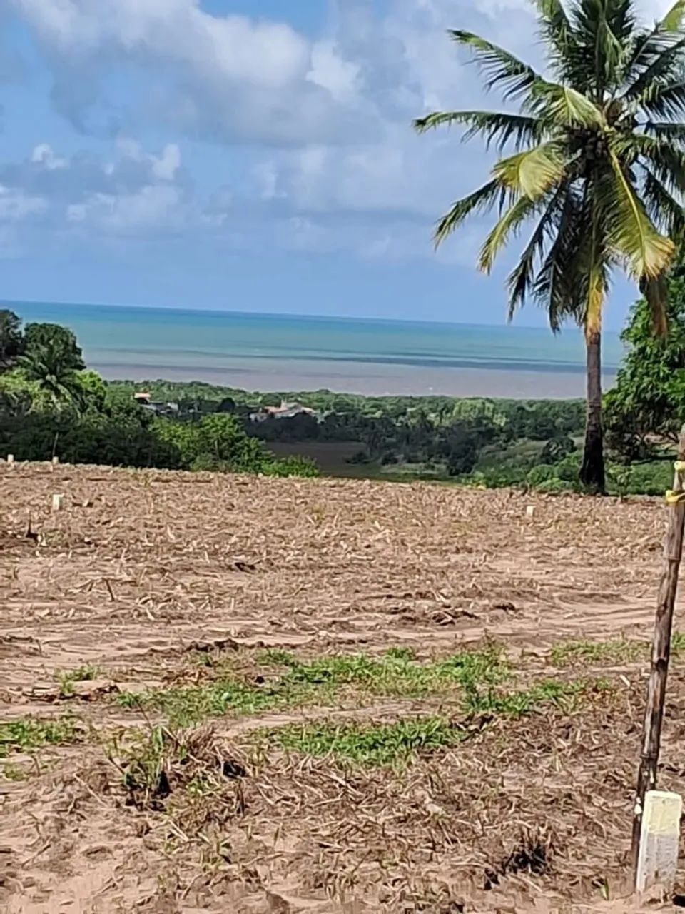 Lotes em Praia Bela ?  - Foto 2