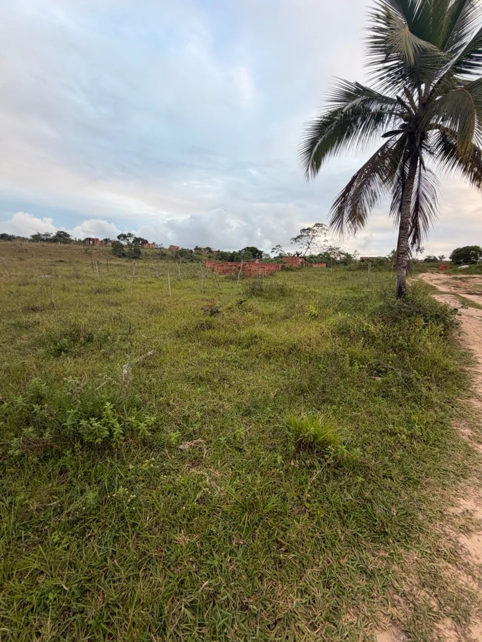 Tenha seu Sítio Próprio - Foto 2