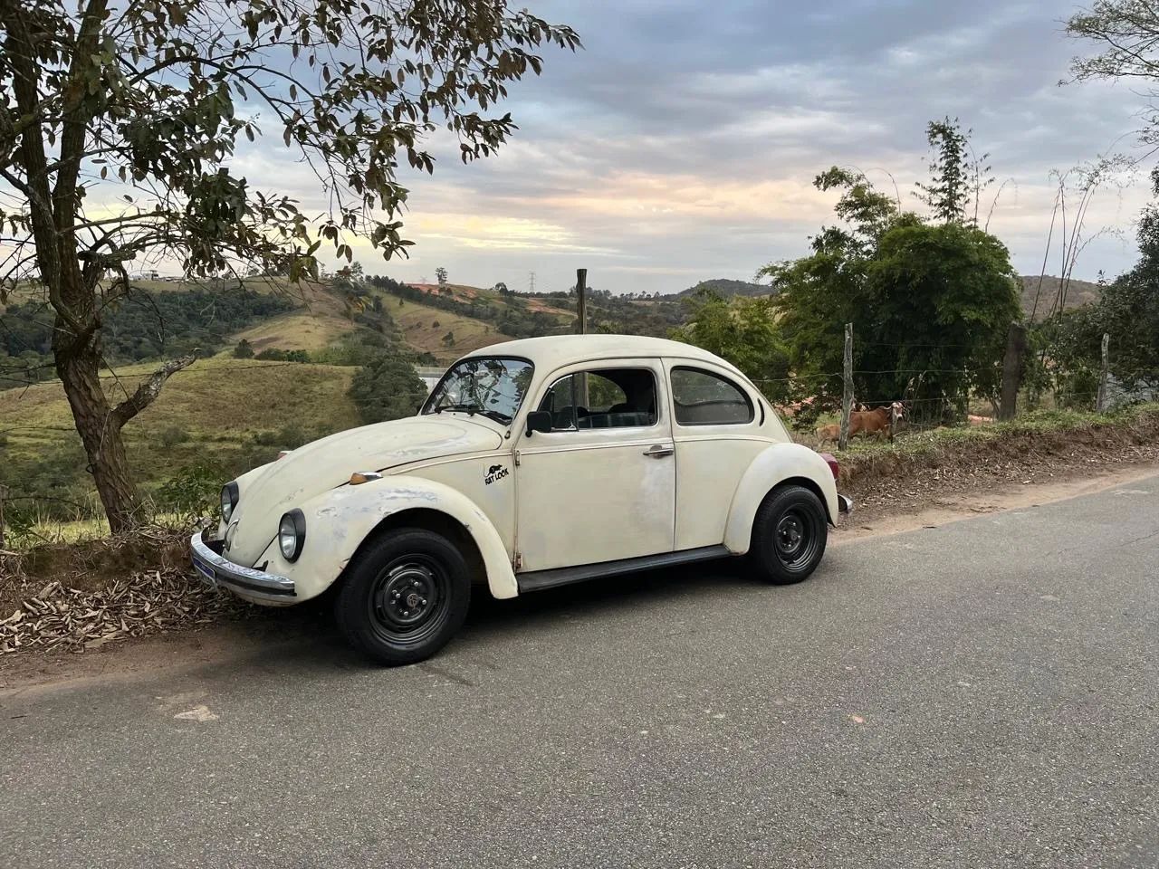 Volkswagen Fusca 1300 1978