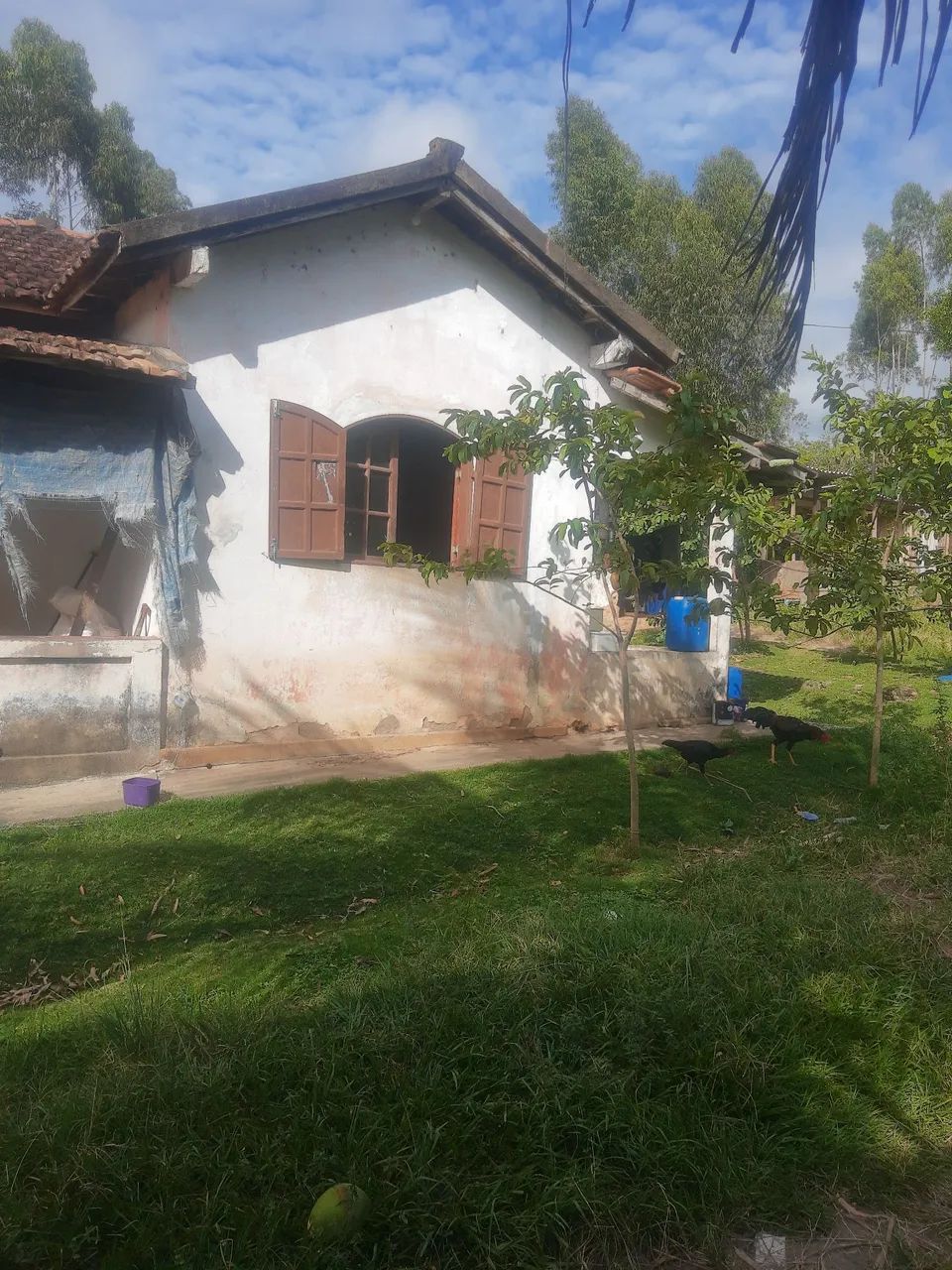 Sítio em Saquarema  - Foto 2
