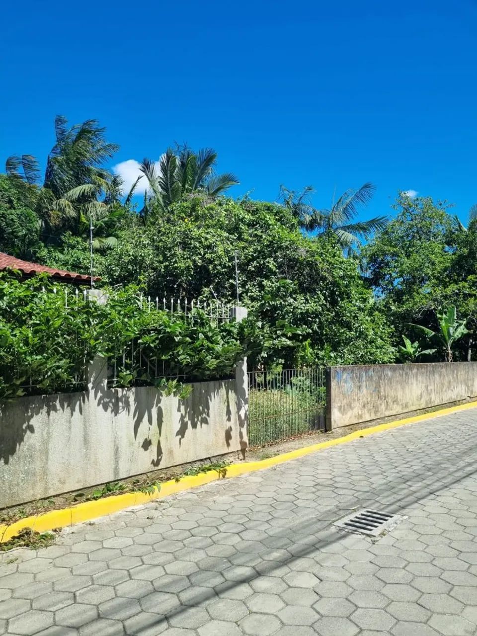 TERRENO a VENDA em CAMBORIÚ  - Foto 3