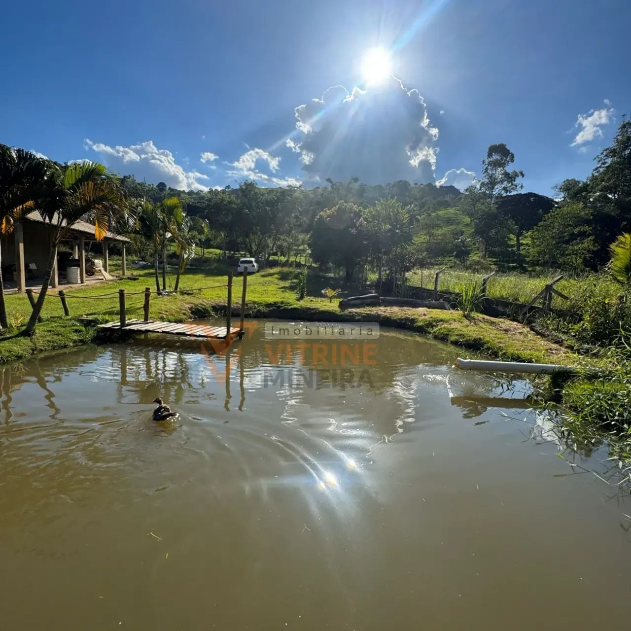 Imóvel à Venda | Sítio  Bom Jardim | Rio Manso/MG - Foto 4