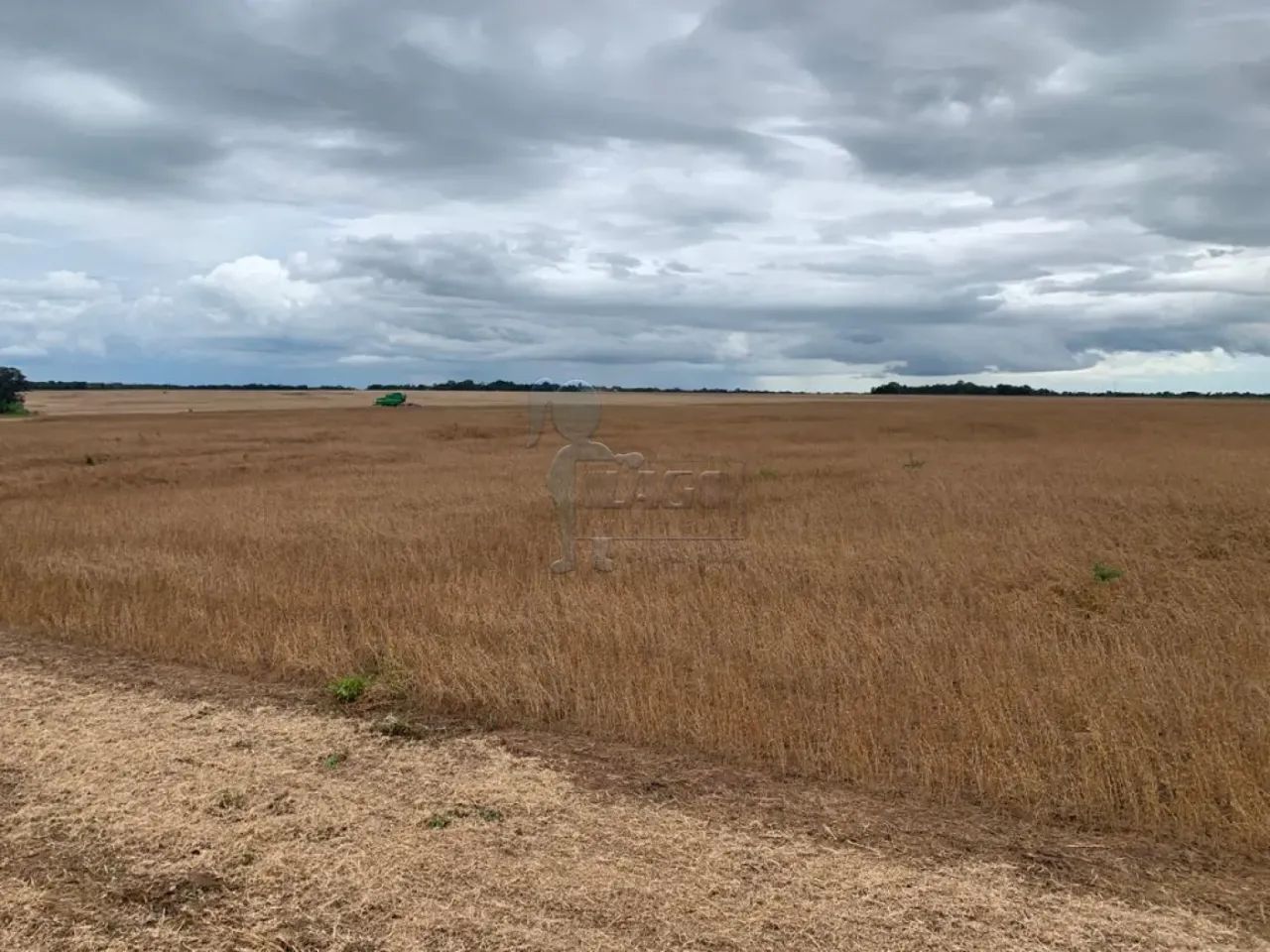 Fazenda 740,5 hectare à venda - Talismã-TO - Foto 4
