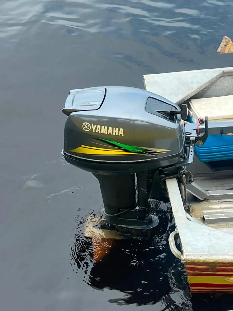 Vendo este motor e canoa 