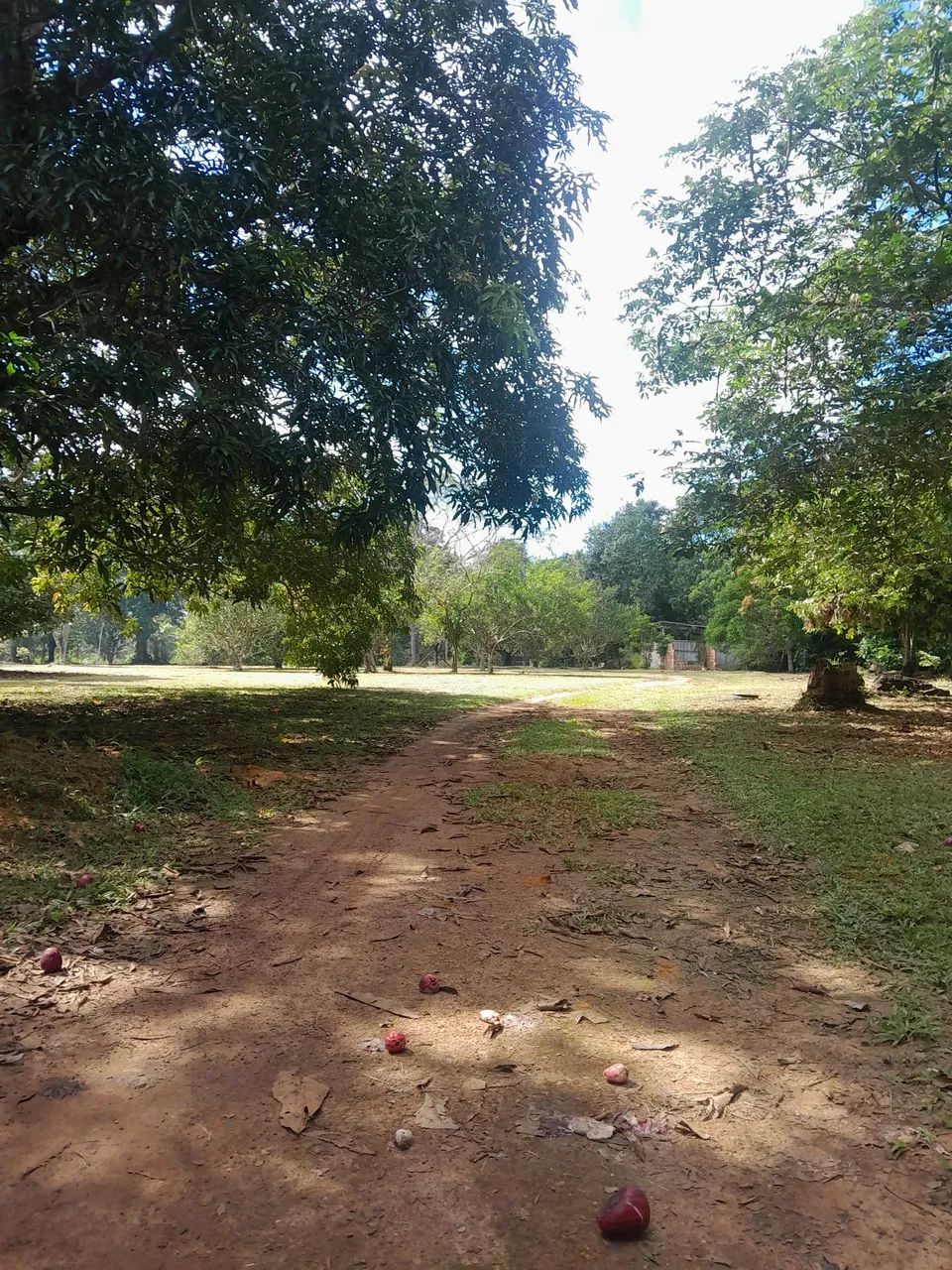 Lindo sítio  - Foto 4