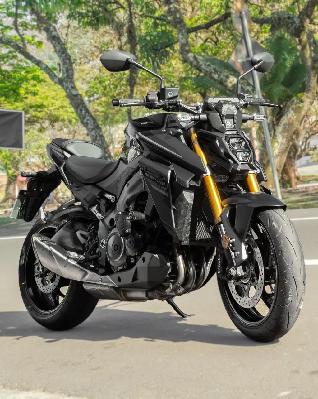 Suzuki Gsx-S 1000