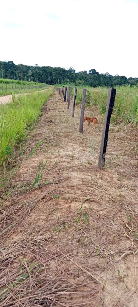 VENDO SÍTIO - Foto 3