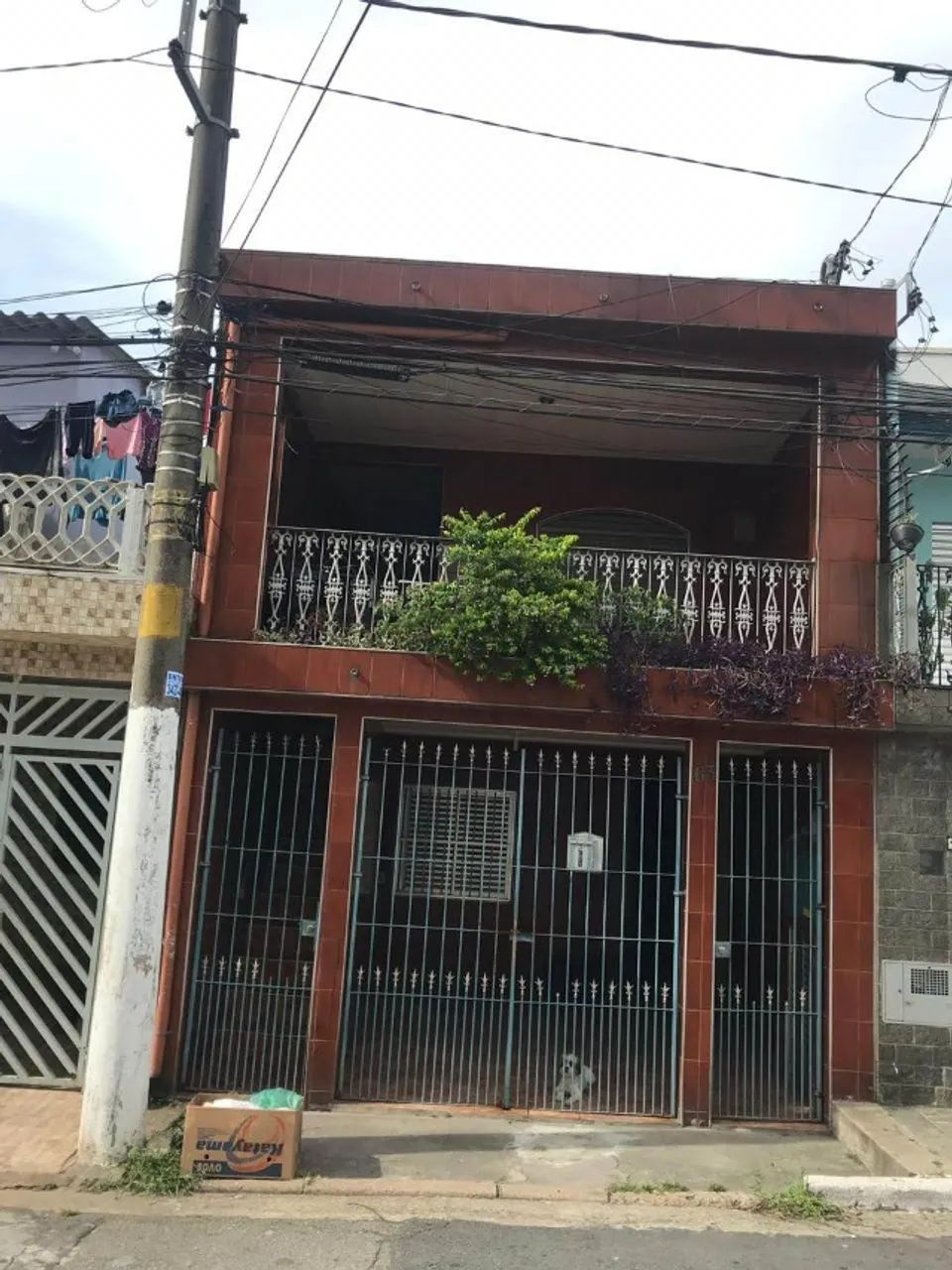 Foto - São Paulo - Parque Císper