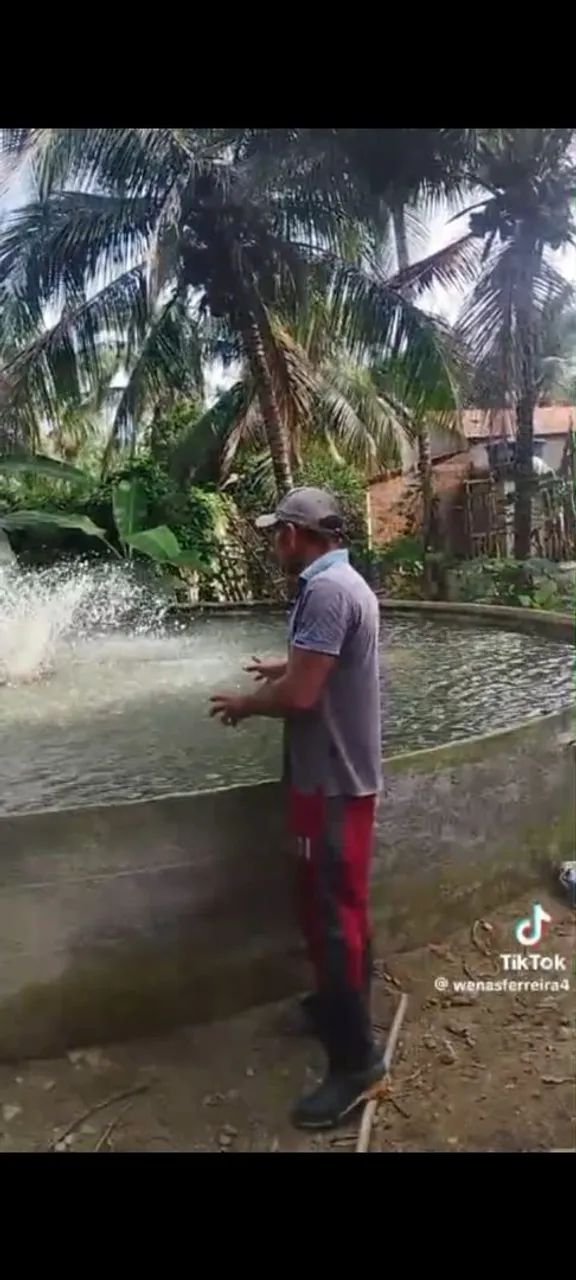   Reservatórios em concreto armado e bebedouro de gado - Foto 3