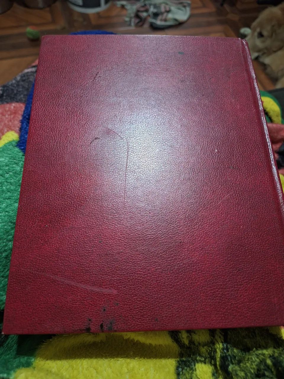 Biblia sagrada Nossa Senhora - Foto 3