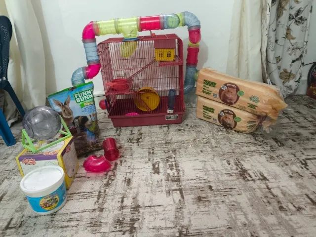 Kit hamster com gaiola 