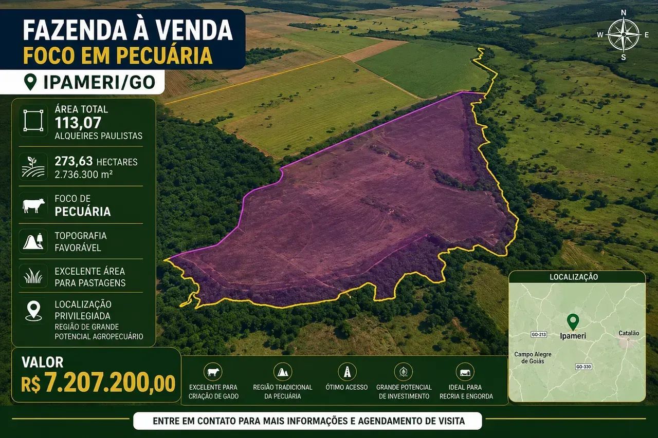 FAZENDA À VENDA  APTIDÃO PARA PECUÁRIA  IPAMERI/GO - Foto 5