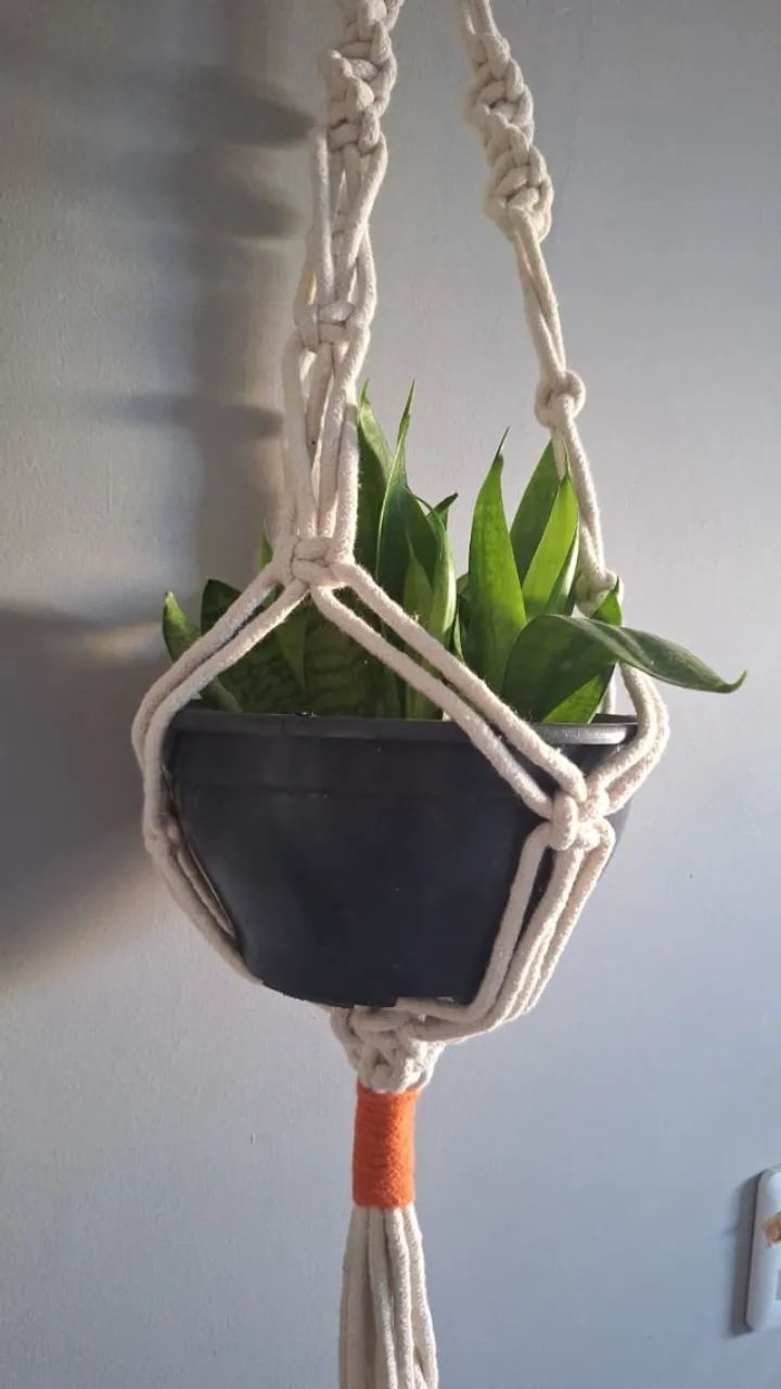 Suporte de Planta - Foto 2