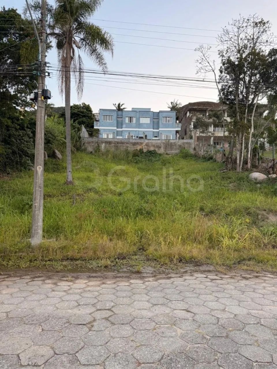 Terreno para Venda em Florianópolis, Praia Brava - Foto 4