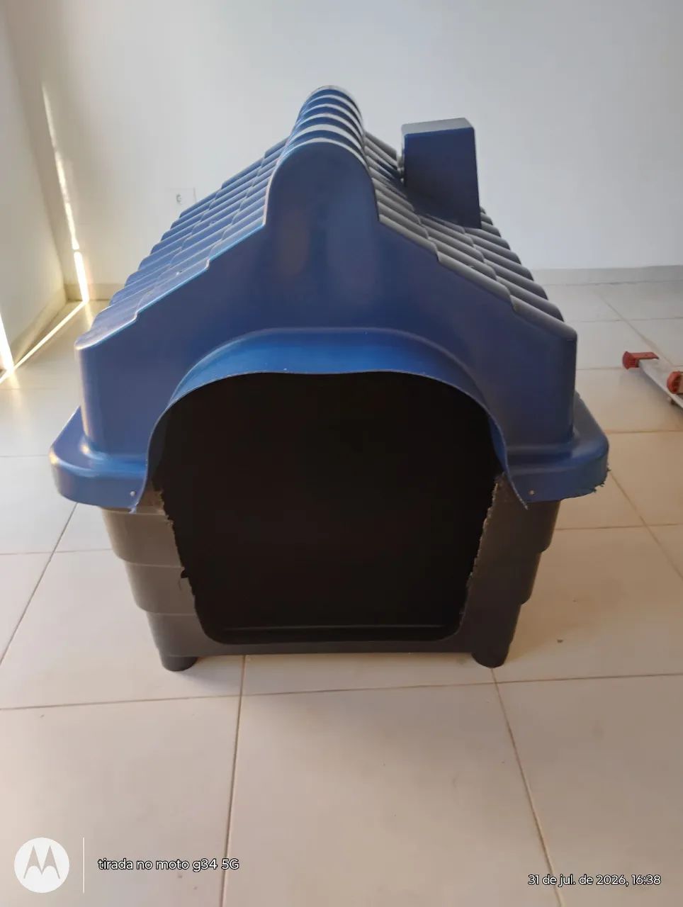 Casinha caes