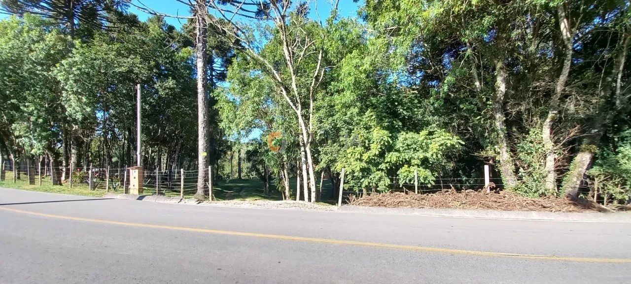 CHACARA RURAL em Balsa Nova - PR, Bugre - Foto 5