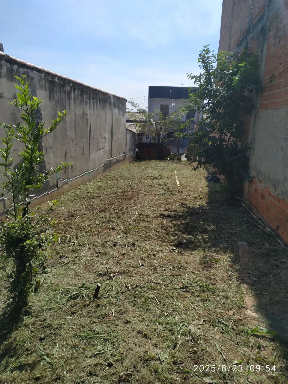 E então vai deixar seu terreno sujo????  - Foto 2