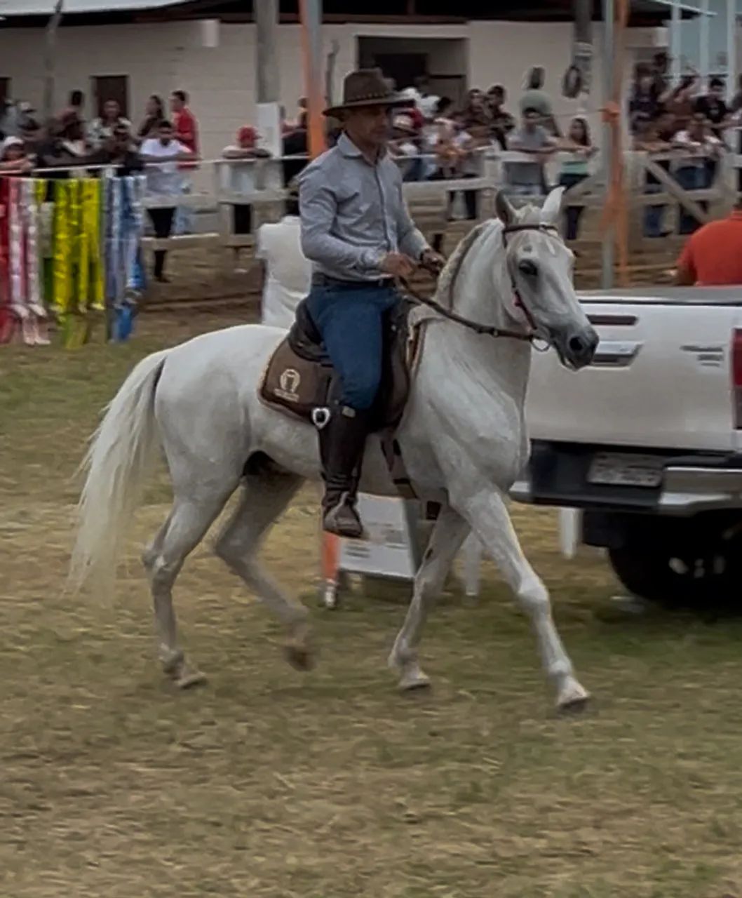 Cavalo Garanhão Manga Larga  - Foto 2
