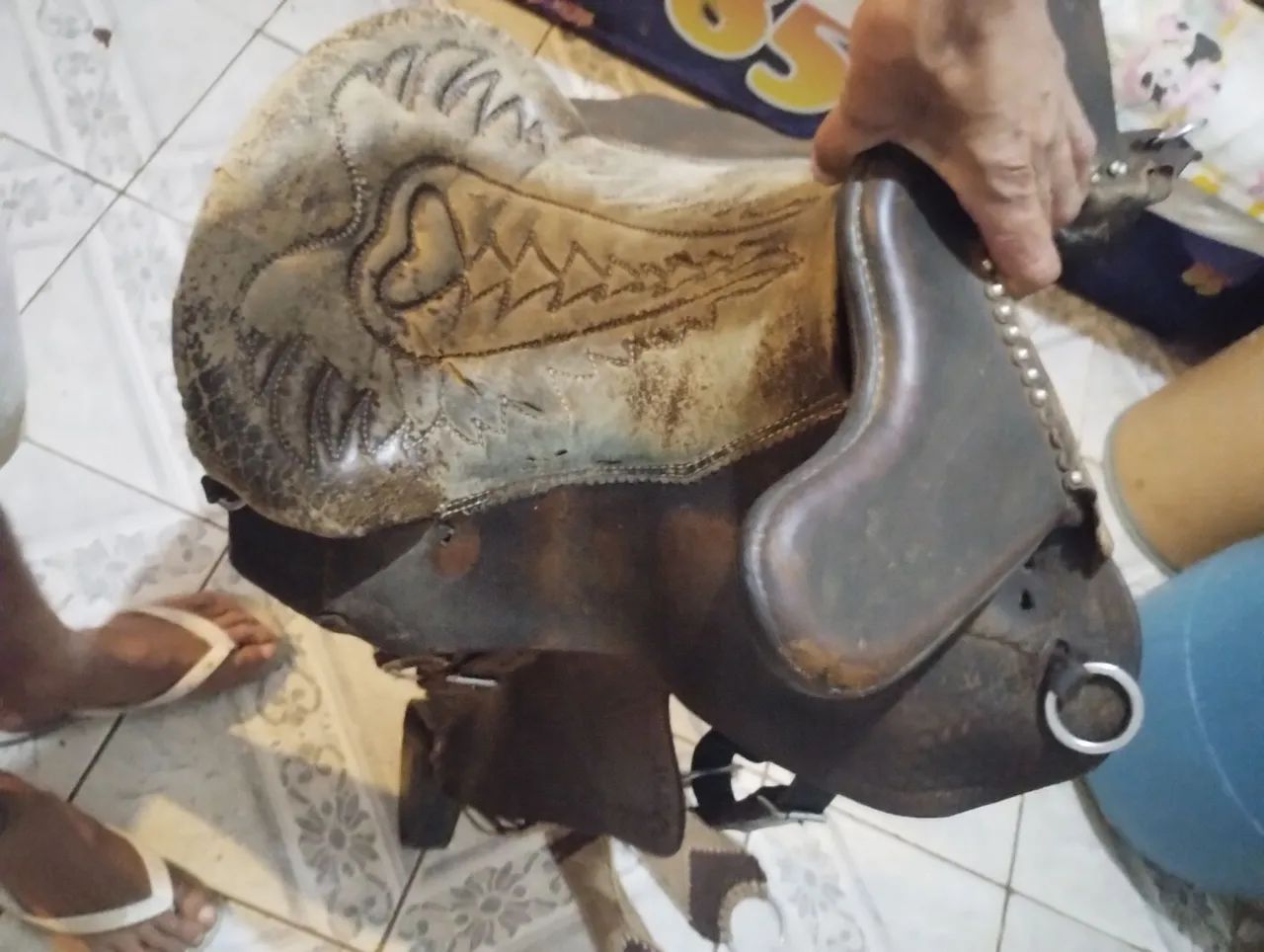 Cavalos e cela pra vender  - Foto 2