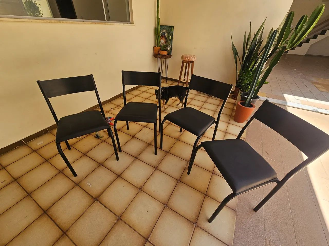 Conjunto de  cadeiras Tokstok usadas 