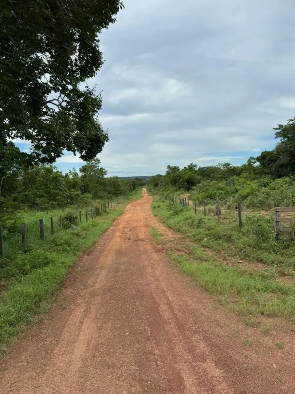 Imóvel  Zona Rural - Uruaçu - GO