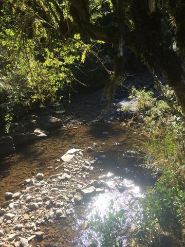 Sitio em Urubici /chacara em Urubici - Foto 5