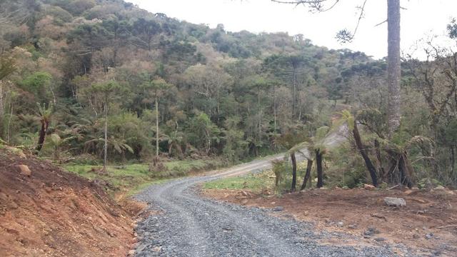 Sitio em Urubici /chacara em Urubici - Foto 6